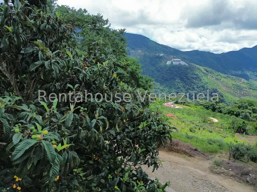 Terreno (Comercial) en Venta en La Colonia Tovar, Aragua - 55