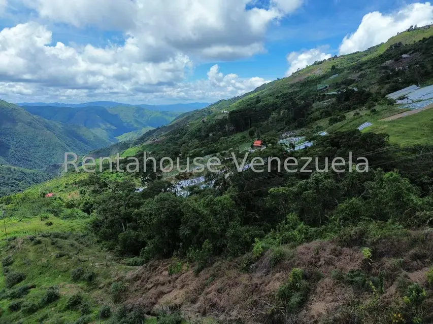 Terreno (Comercial) en Venta en La Colonia Tovar, Aragua - 59