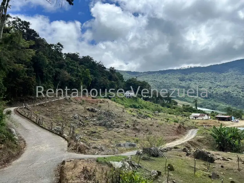 Terreno (Comercial) en Venta en La Colonia Tovar, Aragua - 6