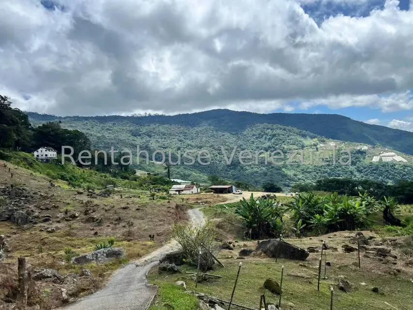 Terreno (Comercial) en Venta en La Colonia Tovar, Aragua - 8