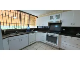 View 8