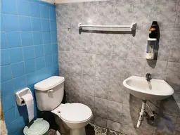 Vista 11