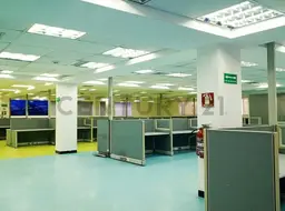 Vista 4