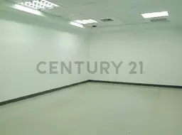 Vista 5