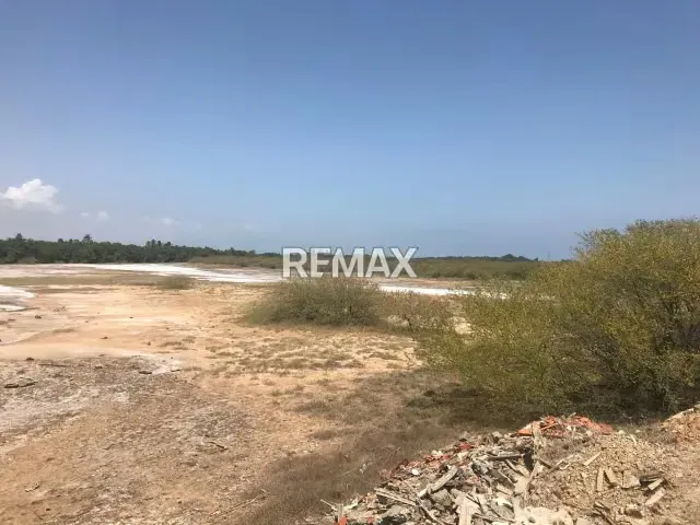 En Venta cinco hectáreas de terreno 50.000 mt2 en la avenida costanera Narceloma - 4