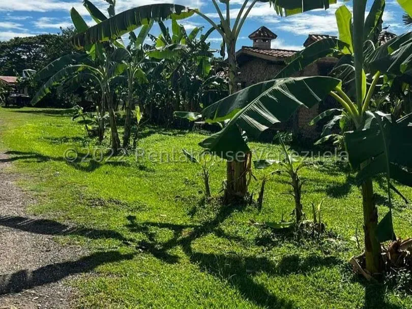Terreno (Comercial) en Venta en Barrera, Carabobo - 4