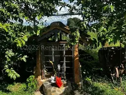 View 10