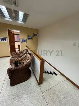 Vista 5