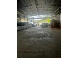 Vista 19