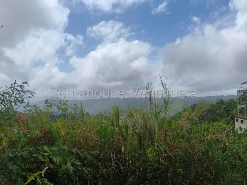 Terreno (Comercial) en Venta en La Union, Distrito Metropolitano - 30