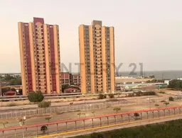 Vista 6