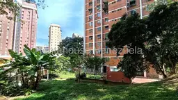 Vista 33