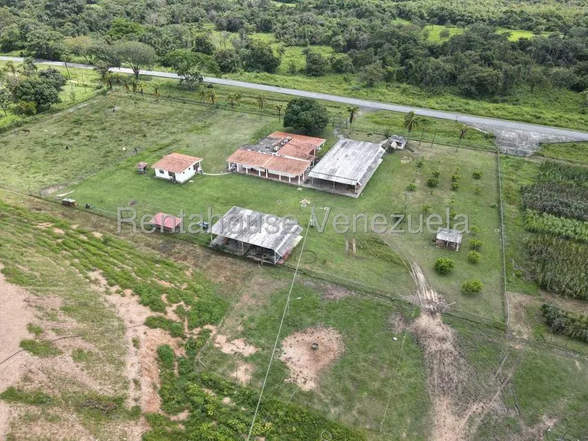 Casa (1 Nivel) en Venta en Cantaclaro, Cojedes - 2