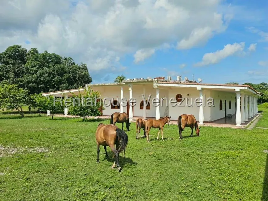 Casa (1 Nivel) en Venta en Cantaclaro, Cojedes - 11