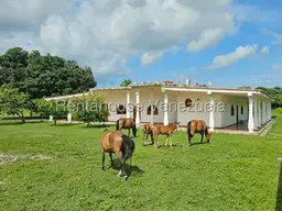 Vista 11