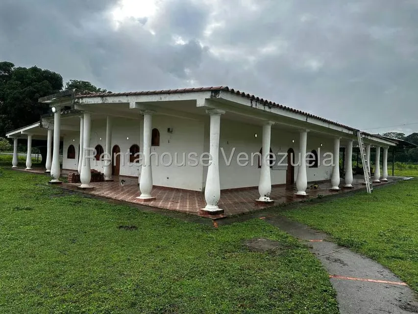 Casa (1 Nivel) en Venta en Cantaclaro, Cojedes - 12