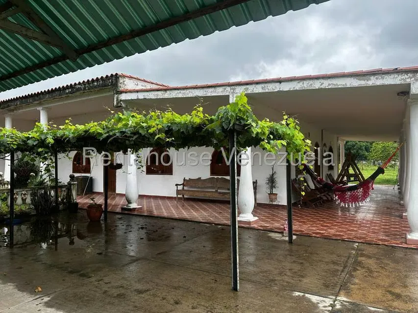 Casa (1 Nivel) en Venta en Cantaclaro, Cojedes - 14