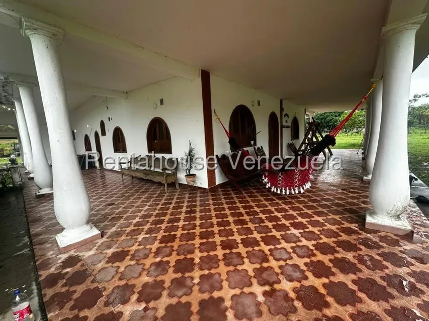 Casa (1 Nivel) en Venta en Cantaclaro, Cojedes - 15
