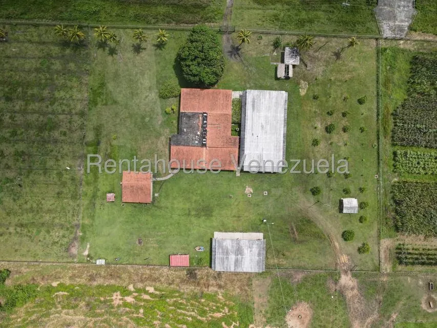 Casa (1 Nivel) en Venta en Cantaclaro, Cojedes - 3