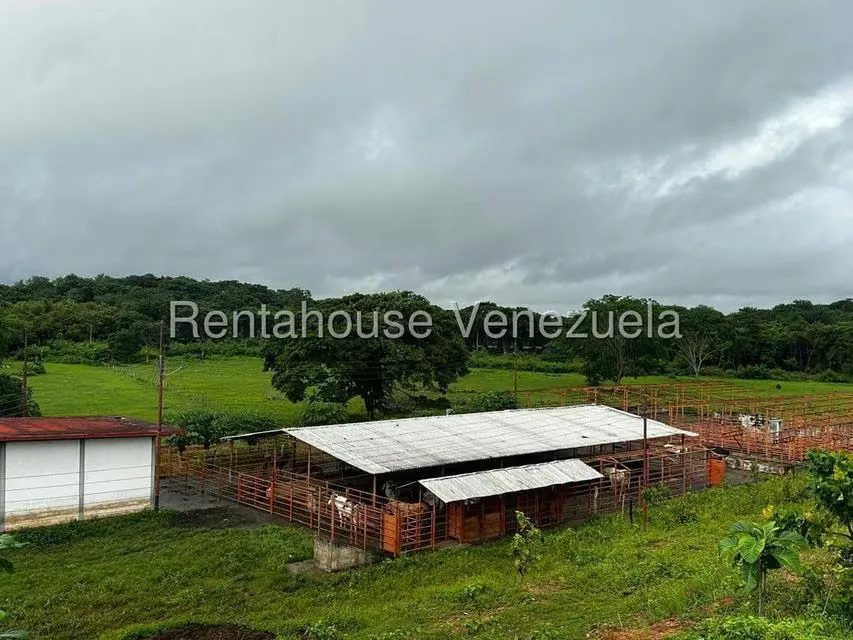 Casa (1 Nivel) en Venta en Cantaclaro, Cojedes - 25