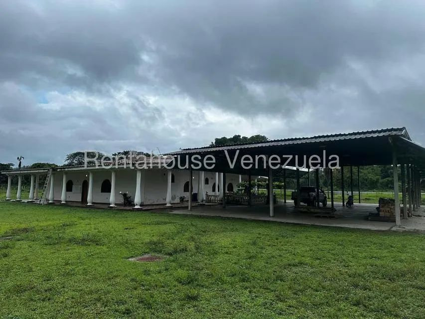 Casa (1 Nivel) en Venta en Cantaclaro, Cojedes - 29