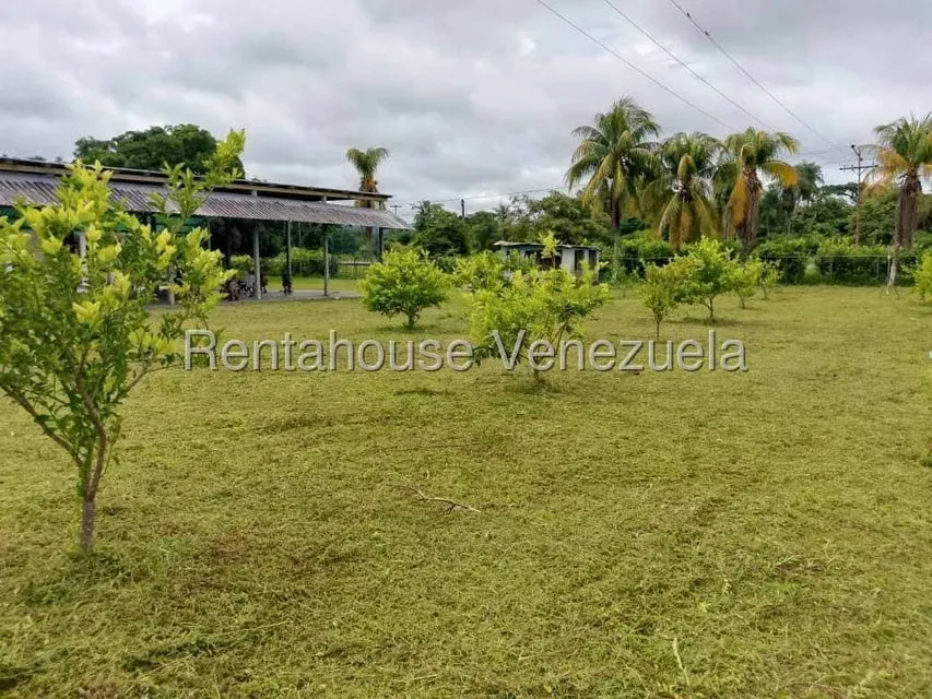 Casa (1 Nivel) en Venta en Cantaclaro, Cojedes - 31