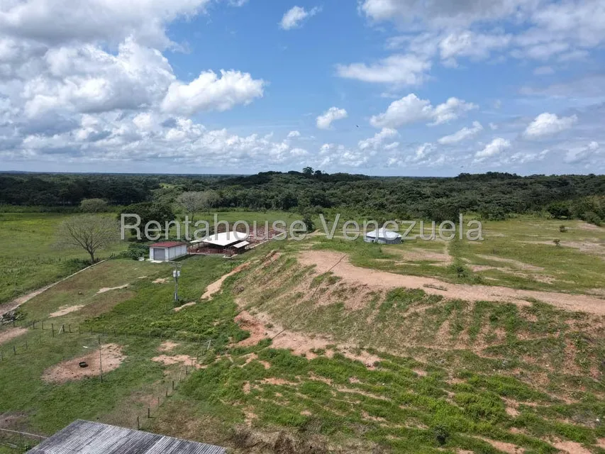 Casa (1 Nivel) en Venta en Cantaclaro, Cojedes - 35