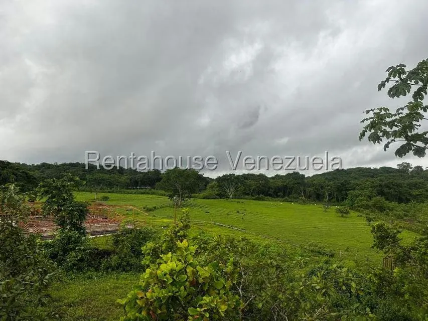 Casa (1 Nivel) en Venta en Cantaclaro, Cojedes - 36