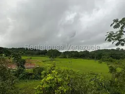 Vista 36