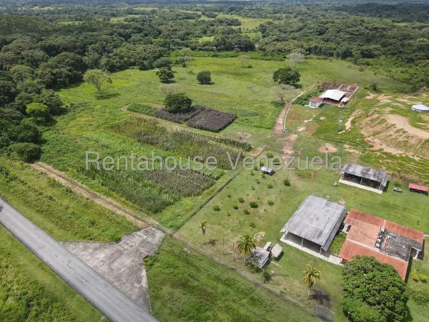 Casa (1 Nivel) en Venta en Cantaclaro, Cojedes - 38
