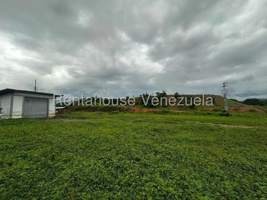 Casa (1 Nivel) en Venta en Cantaclaro, Cojedes - 40
