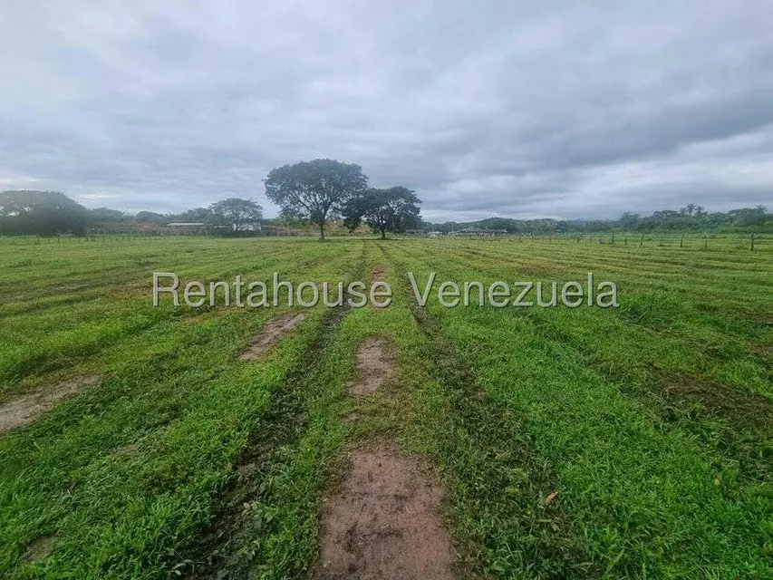 Casa (1 Nivel) en Venta en Cantaclaro, Cojedes - 5