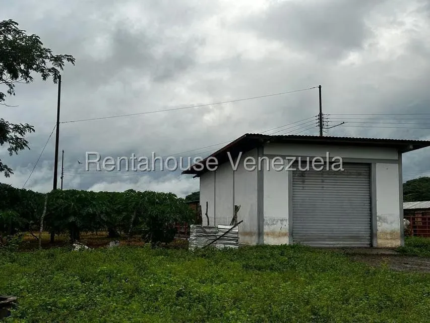 Casa (1 Nivel) en Venta en Cantaclaro, Cojedes - 41