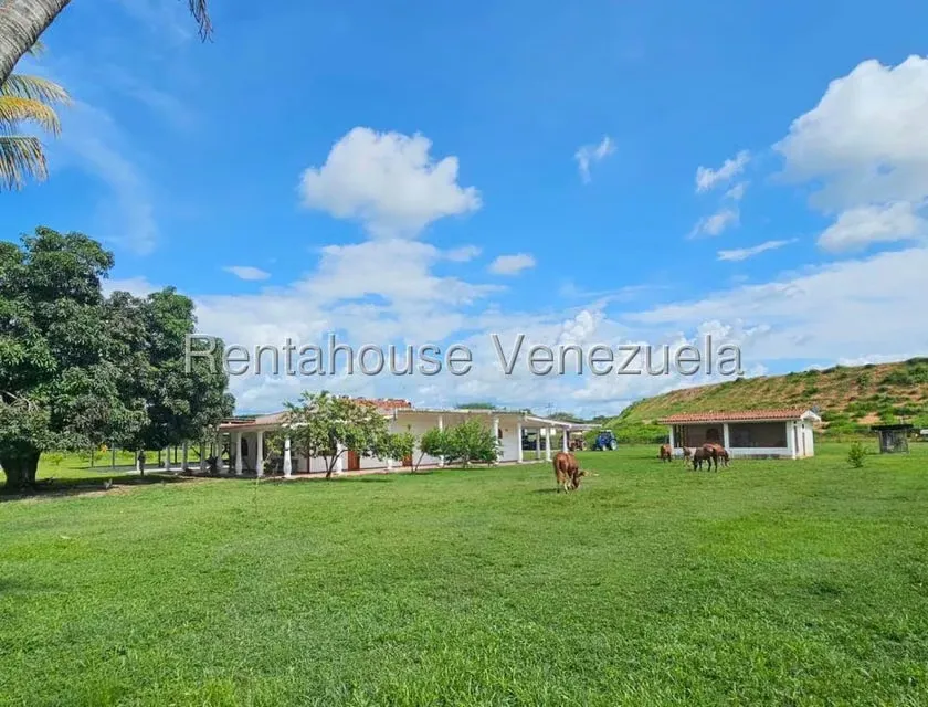 Casa (1 Nivel) en Venta en Cantaclaro, Cojedes - 6