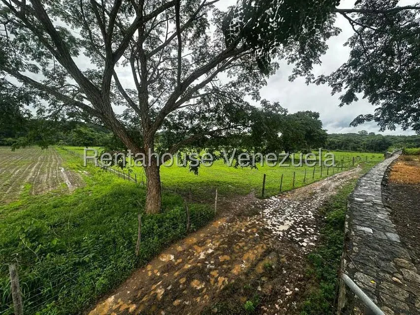 Casa (1 Nivel) en Venta en Cantaclaro, Cojedes - 7
