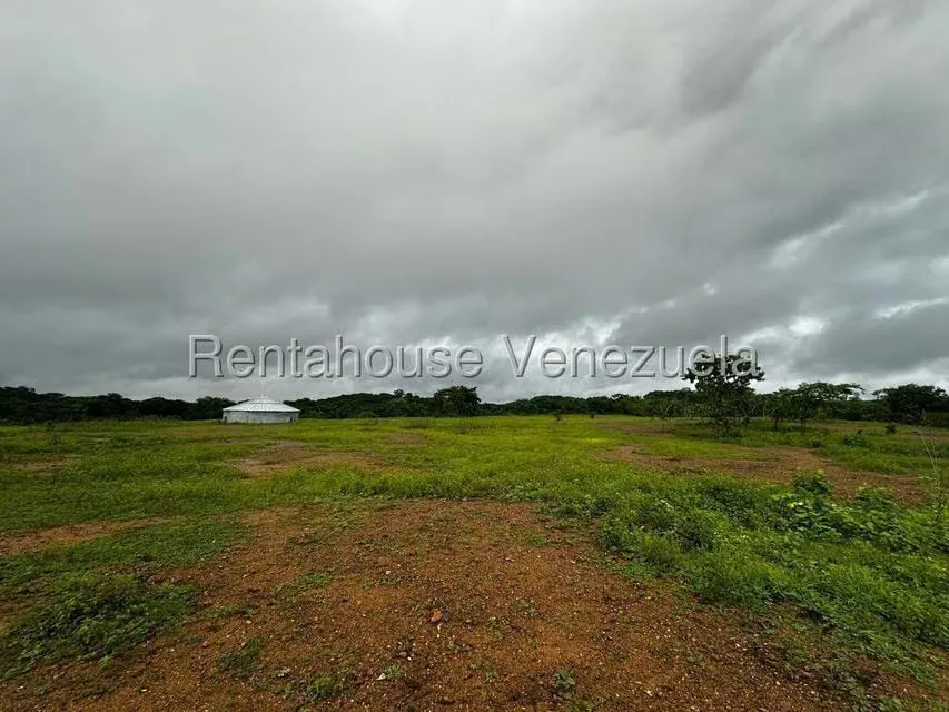 Casa (1 Nivel) en Venta en Cantaclaro, Cojedes - 9