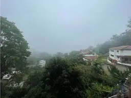 Vista 20