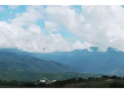 View 25
