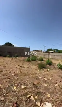 Vista 1