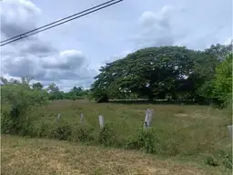 View 13