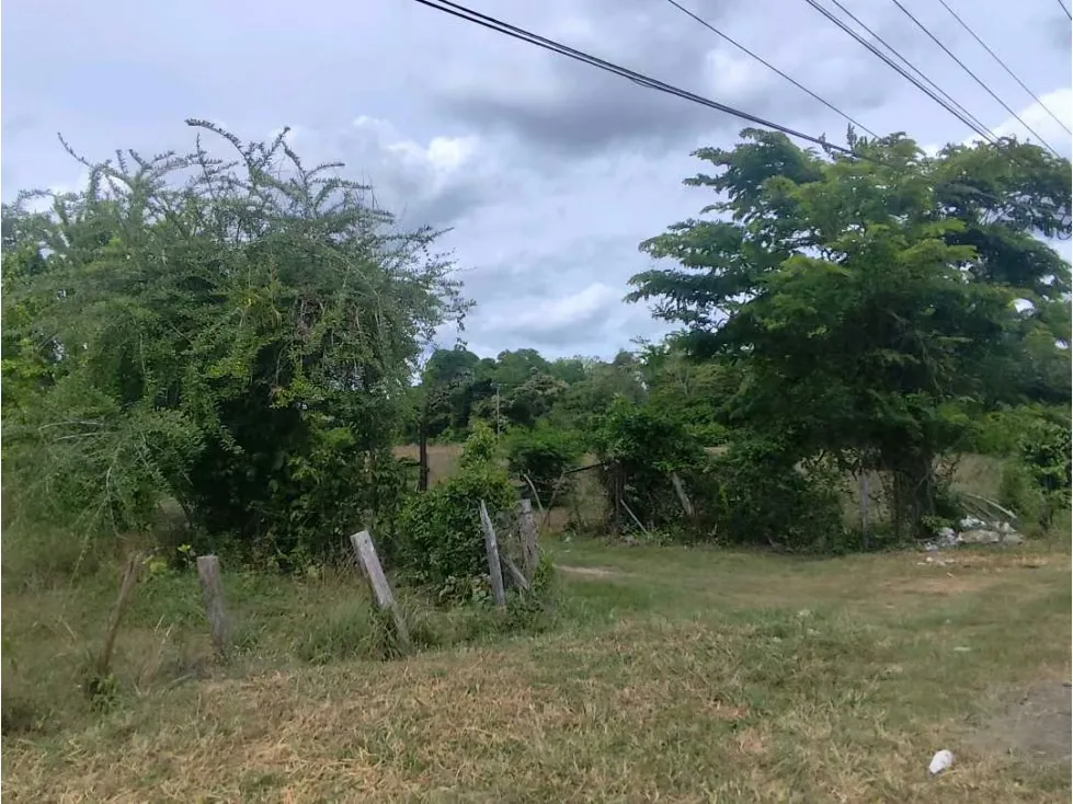 Se vende terreno 99.800m2 Higuerote 6783 - 15