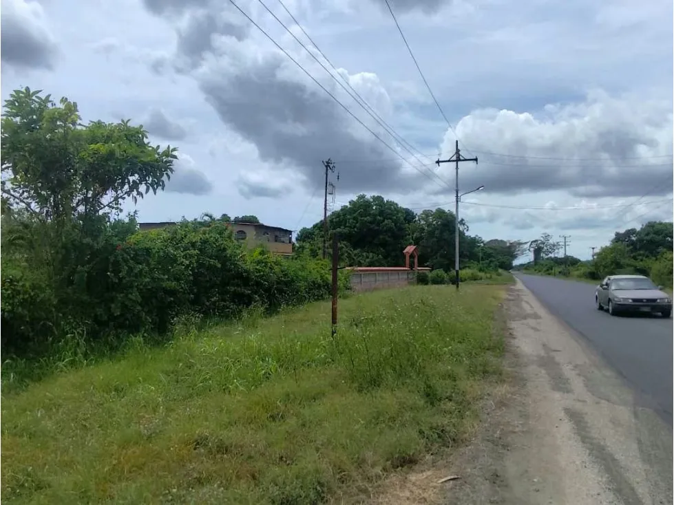 Se vende terreno 99.800m2 Higuerote 6783 - 22