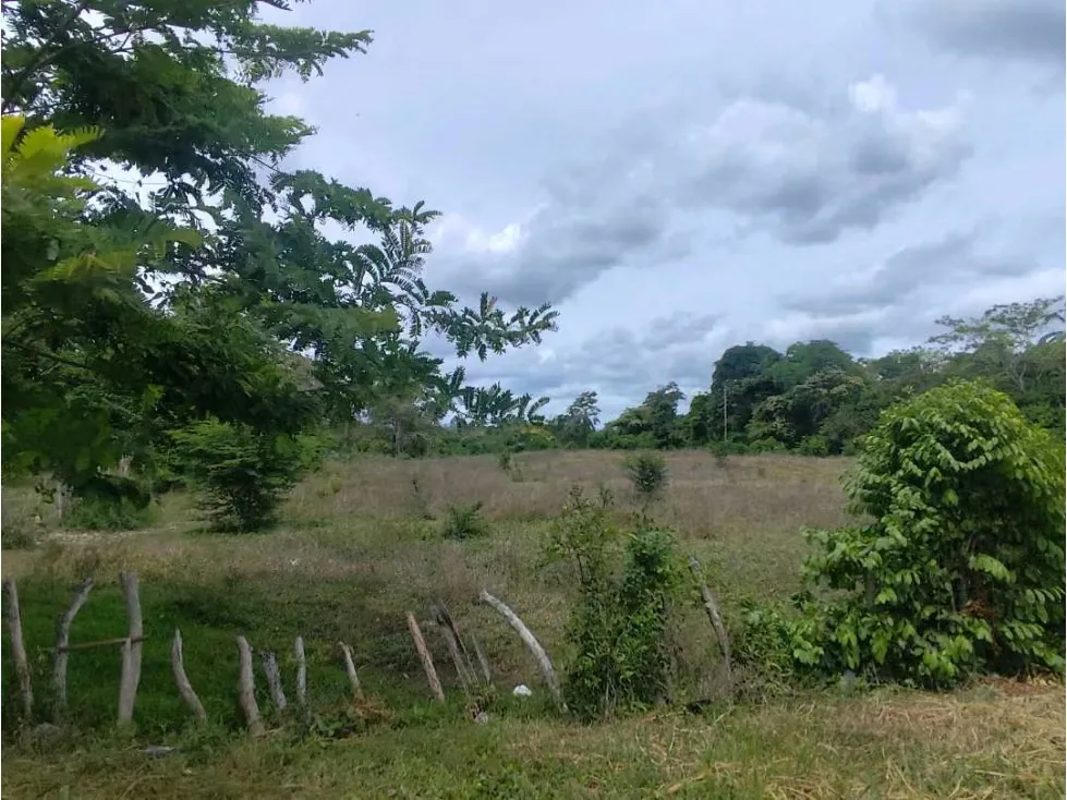 Se vende terreno 99.800m2 Higuerote 6783 - 23