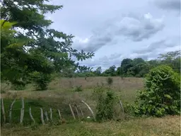 View 23