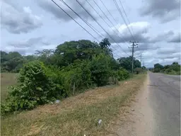 View 24