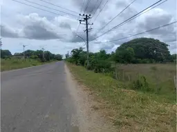 View 29