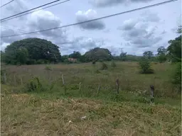 View 33