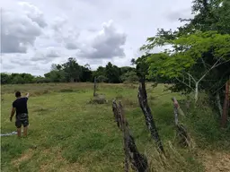 View 36