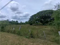 View 5