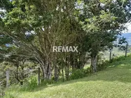 Vista 4